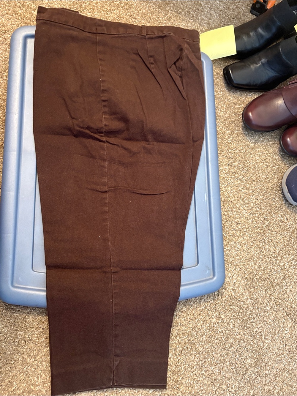 Briggs New York Women's Cropped Jeans - Chocolate Brown